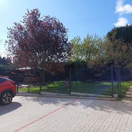 Penzion U Novotnych Jiřetín pod Jedlovou Extérieur photo